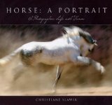 Horse: A Portrait